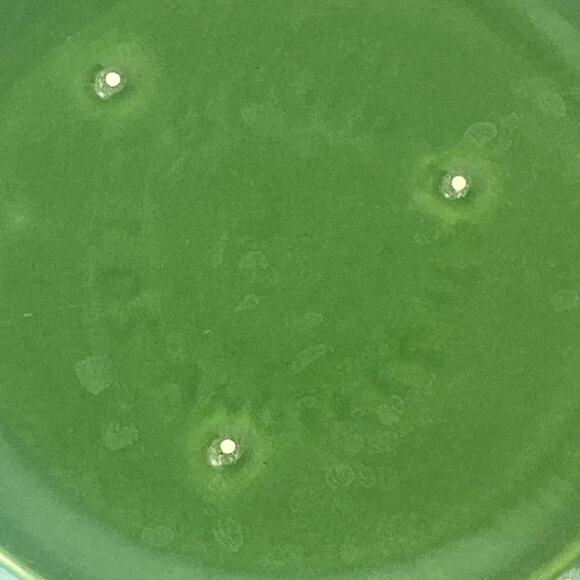 Bauer Los Angeles Pottery Salad Plate Green Vtg 60s Replacement Ceramic Glazed - Picture 3 of 4